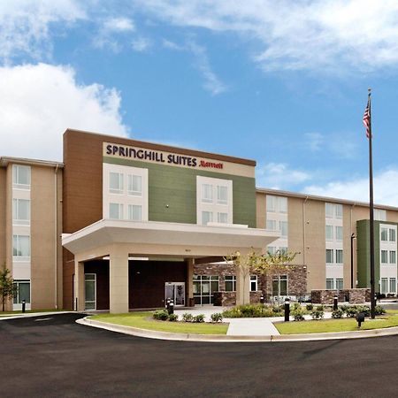 Springhill Suites By Marriott Mobile West מראה חיצוני תמונה